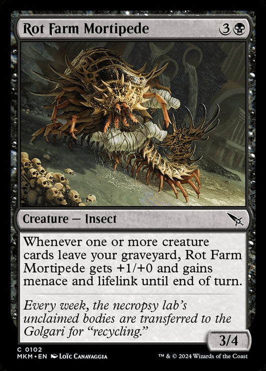 Front face
