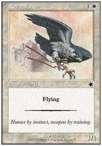 Royal Falcon⁣ - Starter 1999⁣ (Common)⁣ [24]
