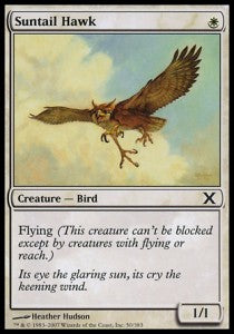 Suntail Hawk⁣ - Tenth Edition⁣ (Common)⁣ [50]