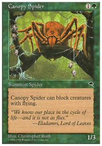 Canopy Spider⁣ - Anthologies⁣ (Common)⁣ [64]