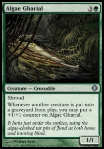 Algae Gharial⁣ - Shards of Alara⁣ (Uncommon)⁣ [123]