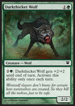 Darkthicket Wolf⁣ - Innistrad⁣ (Common)⁣ [175]