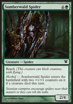 Somberwald Spider⁣ - Innistrad⁣ (Common)⁣ [202]