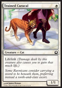 Trained Caracal⁣ - Return to Ravnica⁣ (Common)⁣ [27]