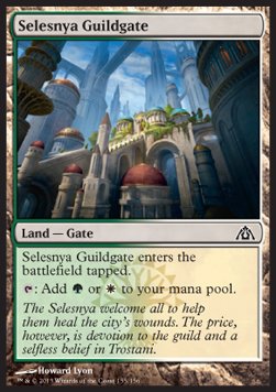 Selesnya Guildgate - Dragon's Maze (Common) [DGM-155]