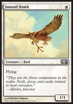 Suntail Hawk⁣ - Magic 2014⁣ (Common)⁣ [40]