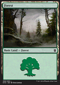 Forest (V.3)⁣ - Khans of Tarkir⁣ (Land)⁣ [268]