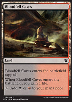 Bloodfell Caves⁣ - Khans of Tarkir⁣ (Common)⁣ [229]