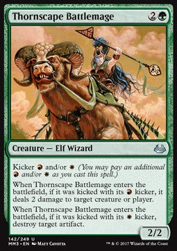 Thornscape Battlemage⁣ - Modern Masters 2017⁣ (Uncommon)⁣ [142]