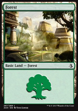 Forest (V.2)⁣ - Amonkhet⁣ (Land)⁣ [267]