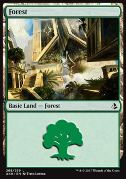 Forest (V.3)⁣ - Amonkhet⁣ (Land)⁣ [268]