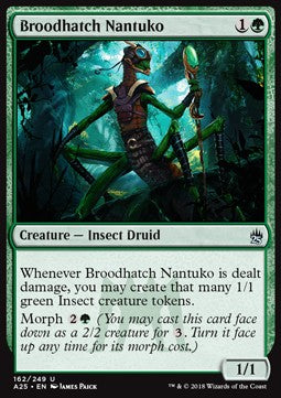 Broodhatch Nantuko⁣ - Masters 25⁣ (Uncommon)⁣ [162]