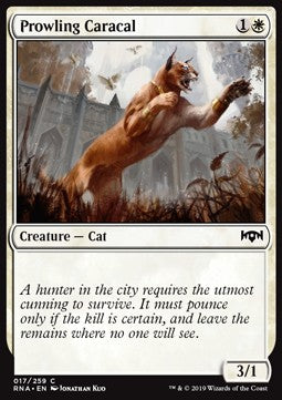 Prowling Caracal⁣ - Ravnica Allegiance⁣ (Common)⁣ [17]