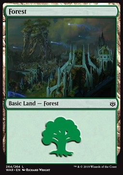 Forest (V.3)⁣ - War of the Spark⁣ (Land)⁣ [264]
