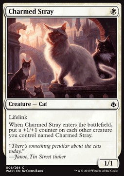 Charmed Stray⁣ - War of the Spark⁣ (Common)⁣ [8]