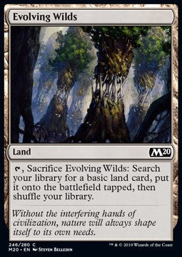 Evolving Wilds⁣ - Core 2020⁣ (Common)⁣ [246]