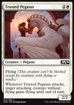 Trusted Pegasus⁣ - Core 2020: Extras⁣ (Common)⁣ [314]