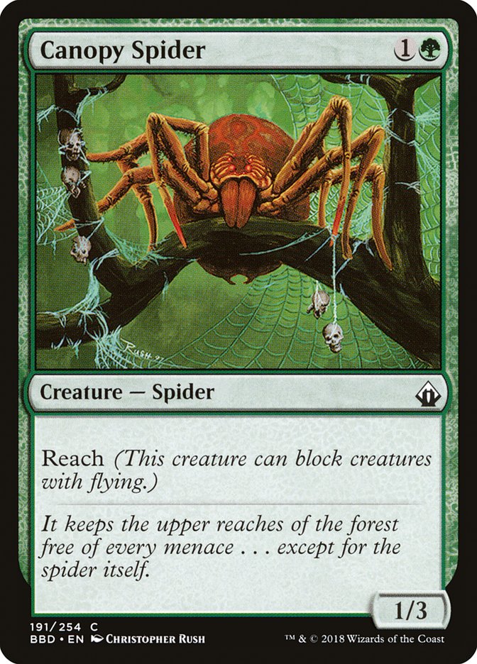 Front face