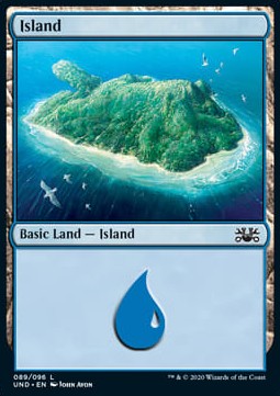 Island (V.1)⁣ - Unsanctioned⁣ (Land)⁣ [89]
