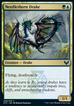 Needlethorn Drake⁣ - Strixhaven: School of Mages⁣ (Common)⁣ [208]