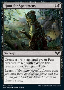 Hunt for Specimens⁣ - Strixhaven: School of Mages⁣ (Common)⁣ [73]