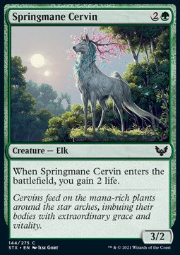 Springmane Cervin⁣ - Strixhaven: School of Mages⁣ (Common)⁣ [144]