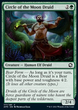 Circle of the Moon Druid⁣ - Adventures in the Forgotten Realms⁣ (Common)⁣ [177]