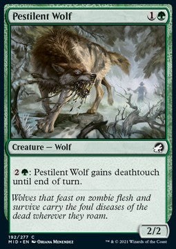 Pestilent Wolf⁣ - Innistrad: Midnight Hunt⁣ (Common)⁣ [192]