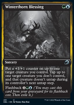 Winterthorn Blessing⁣ - Innistrad: Double Feature⁣ (Uncommon)⁣ [251]