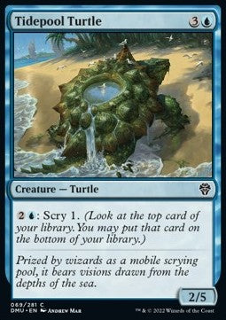Tidepool Turtle⁣ - Dominaria United⁣ (Common)⁣ [69]