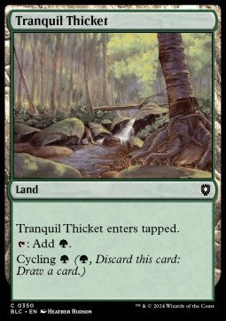 Tranquil Thicket⁣ - Commander: Bloomburrow⁣ (Common)⁣ [350]