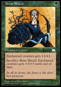 Briar Shield - Weatherlight (Common)