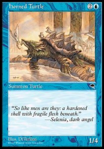 Horned Turtle⁣ - Tempest⁣ (Common)