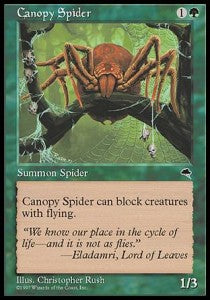 Canopy Spider⁣ - Tempest⁣ (Common)