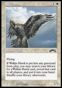 Welkin Hawk⁣ - Exodus⁣ (Common)⁣ [25]