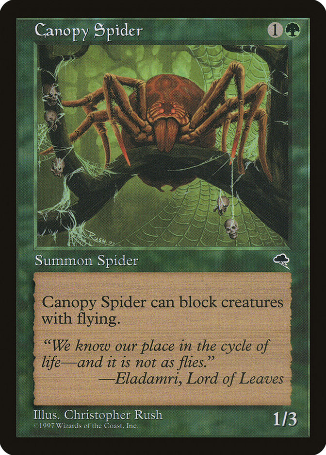 Front face