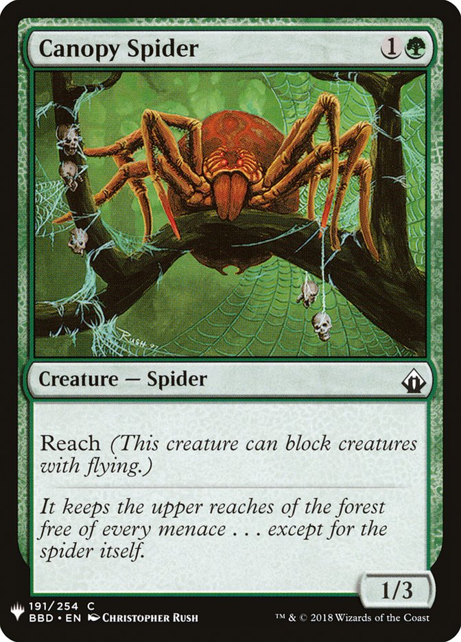 Front face